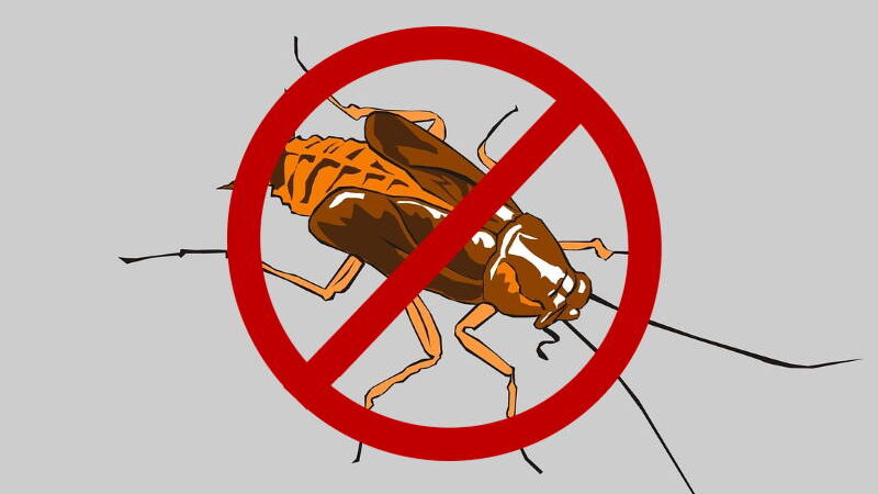 STO POSTO PRIRODNO: Evo kako se riješiti komaraca, muha, žohara… bez otrovnih sastojaka