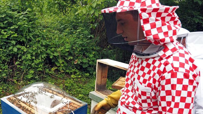 Hrvatski inovator predstavio ‘prirodni botox’ dobiven od najdragocjenijeg pčelinjeg proizvoda