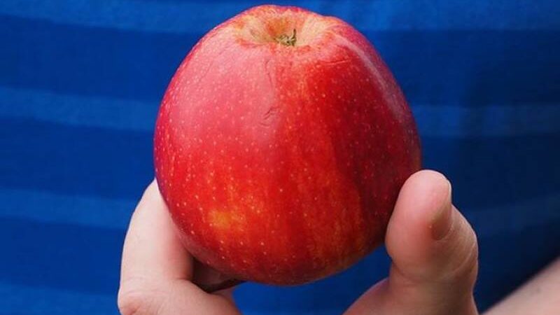 JEDNA JABUKA SVAKI DAN: 7 odličnih razloga da jedete ovo ukusno voće