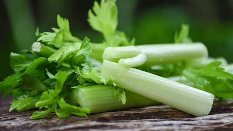 IZVANREDAN PRIRODNI LIJEK: Celer topi kamenac, snižava kolesterol i olakšava probavu…