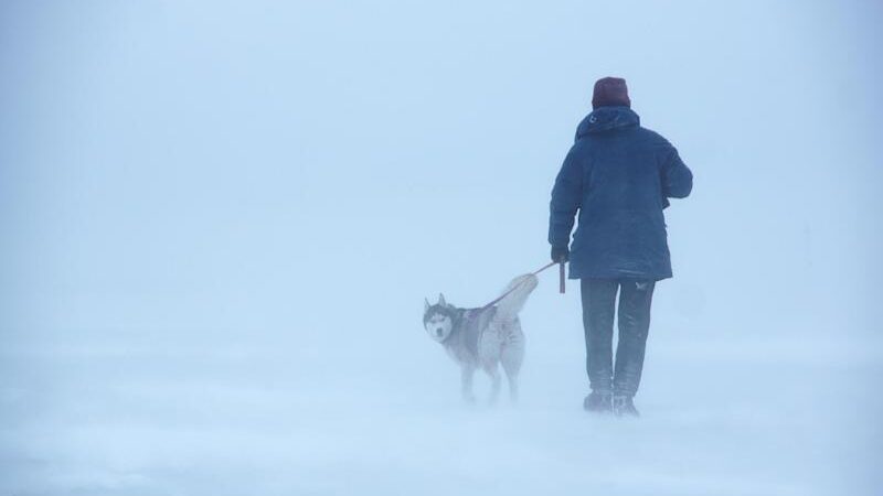 Kako ekstremna hladnoća utječe na naš organizam? Kada nastupa “bijela smrt”?