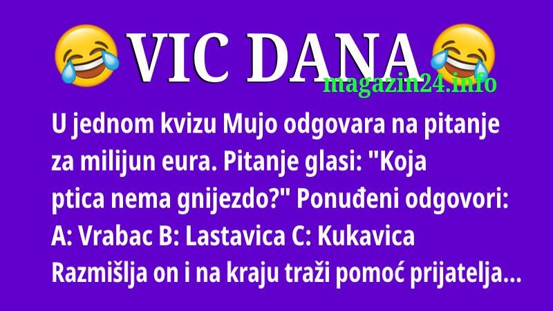 VIC DANA: Kukavica