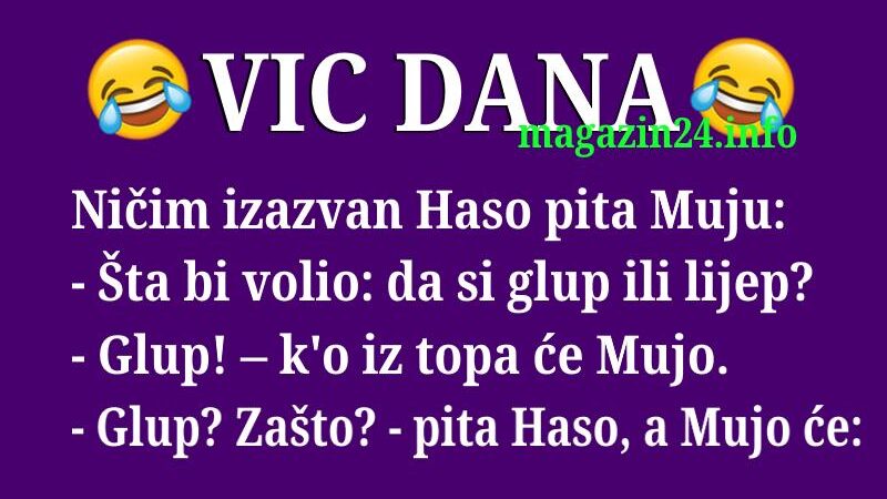 VIC DANA: Glup ili lijep