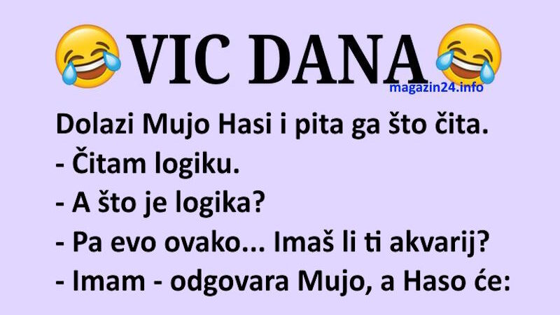 VIC DANA: Mujina logika