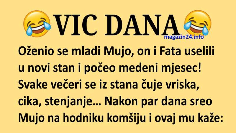 VIC DANA: Uselili u novi stan