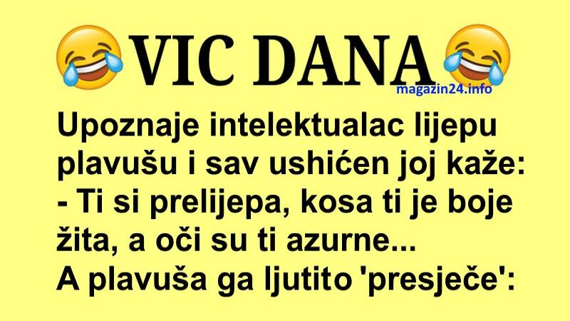 VIC DANA: Plavuša i intelektualac