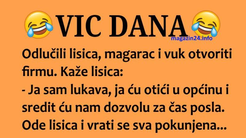 VIC DANA: Otvaranje firme