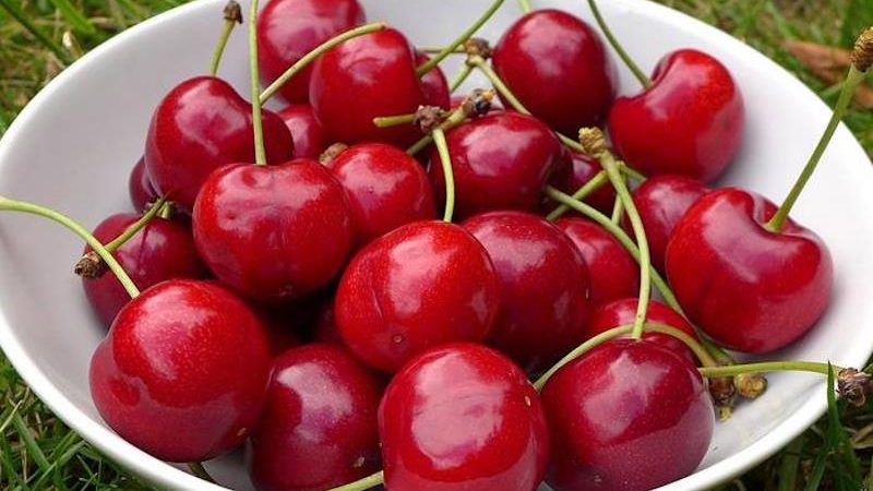 Znate li što vam se može dogoditi ako pojedete 20 trešanja?!