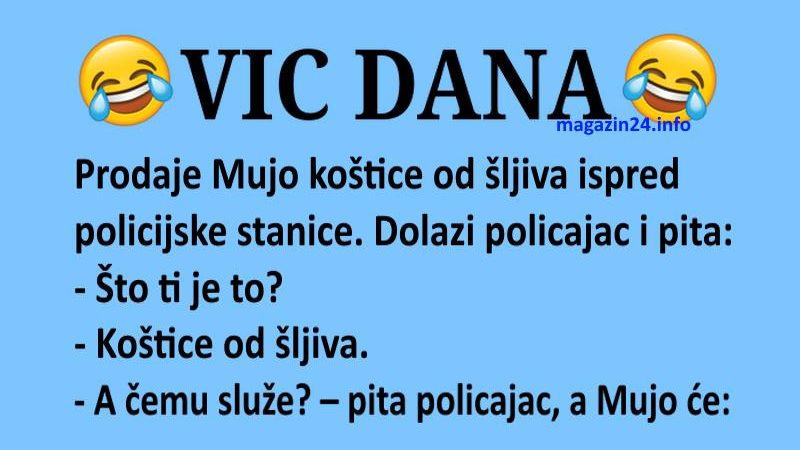 VIC DANA: Koštice od šljiva